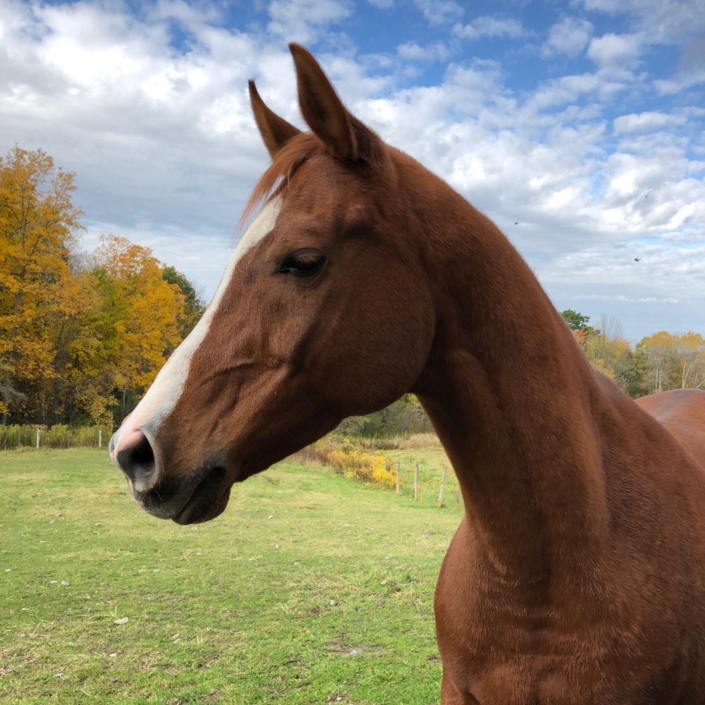 Meet your Posher, Kate